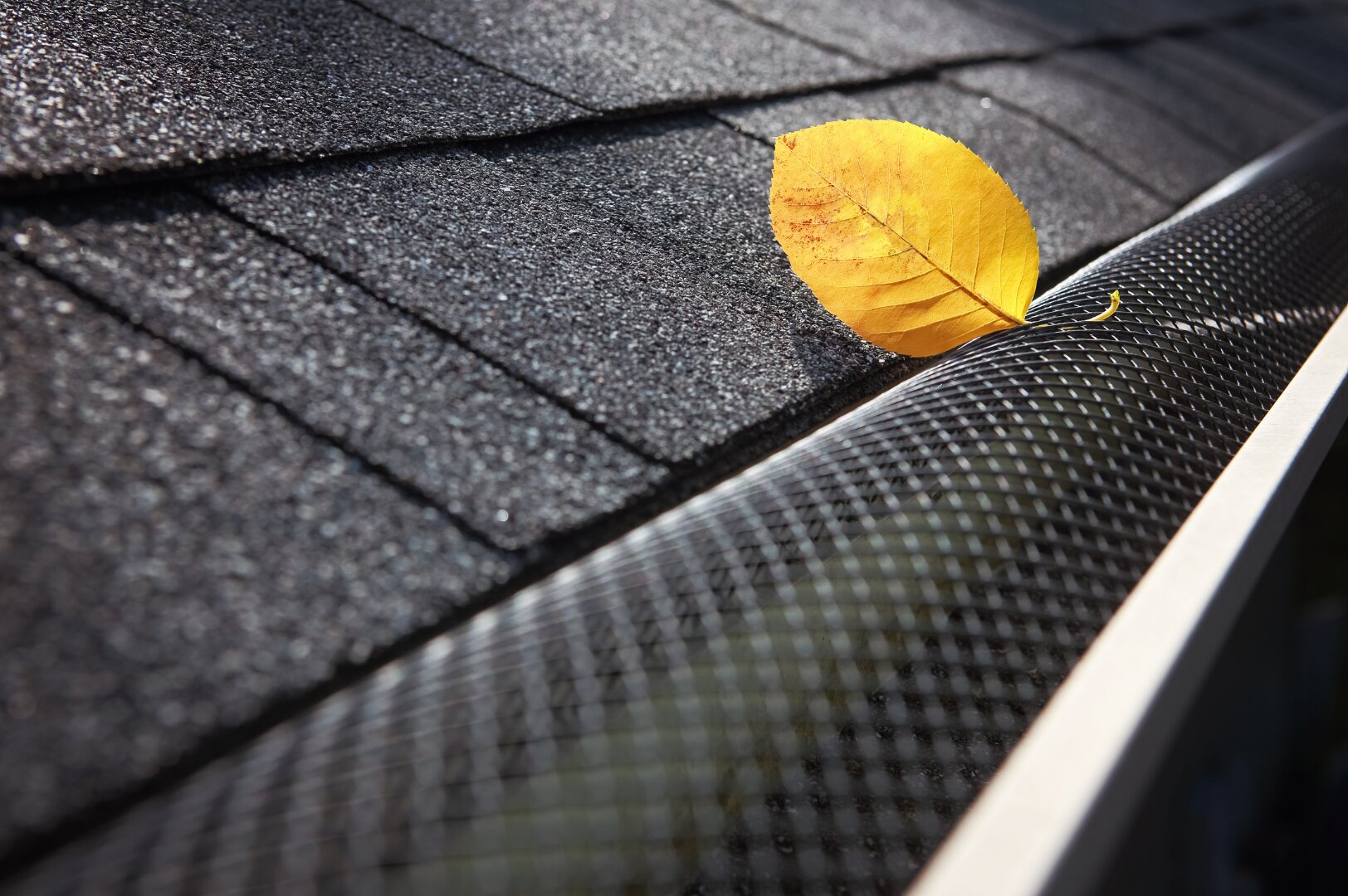 Leaf guard with a single yellow leaf on a tiled roof