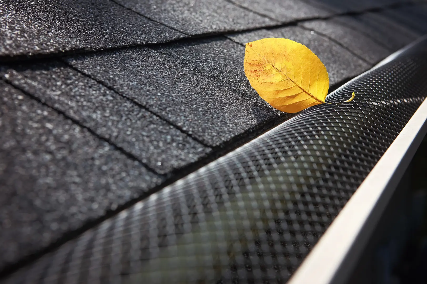 Leaf guard with a single yellow leaf on a tiled roof